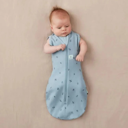 ErgoPouch - Cocoon Swaddle Bag  - Dragonfly Design for 3 to 6 months