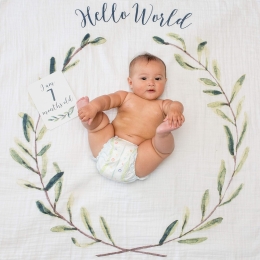 Lulujo Milestones - Cotton Swaddle Blanket and First Year Card Set - Hello World