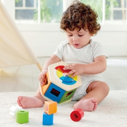 Wooden Wonder Shape Sorter