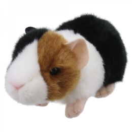 Wilberry Mini's - Guinea Pig