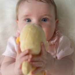 Duck Plush Ring Rattle