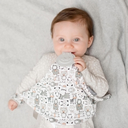 Cheeky Chompers Comforter with Teether -Panda Pals