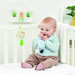 Attachable Eeyore Rattle and Crinkle