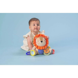 Harry the Lion Activity Toy