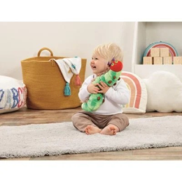 The Very Hungry Caterpillar  Medium Soft Toy